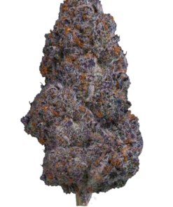 Lemon Cherry Gelato